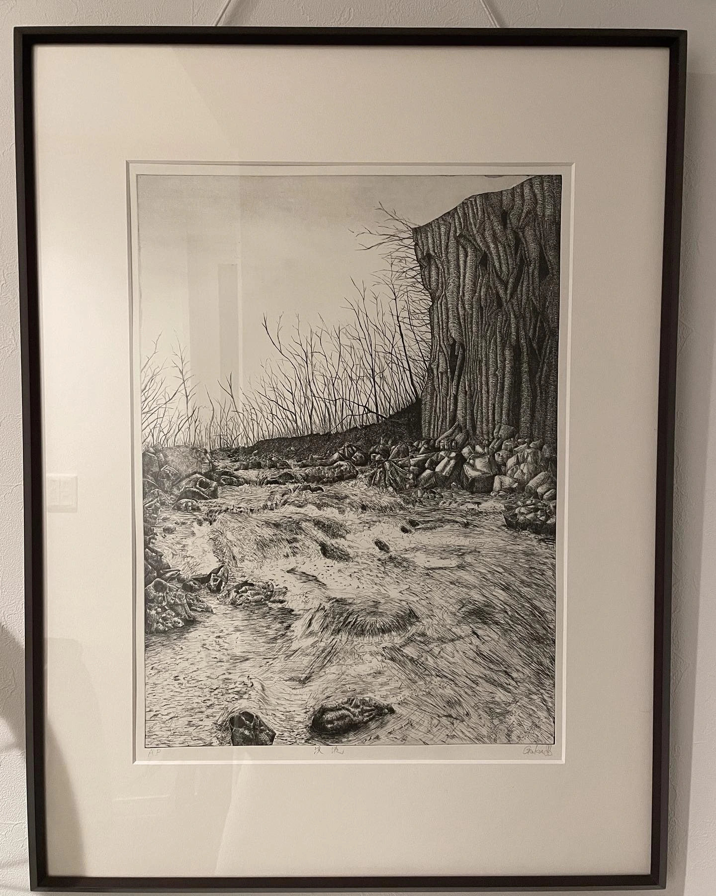 額に収めた、岩や流れる水、枝のある風景を細かな黒い線で描いた作品